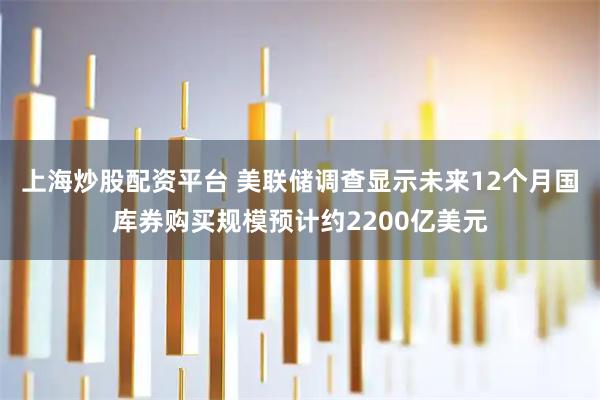 上海炒股配资平台 美联储调查显示未来12个月国库券购买规模预计约2200亿美元