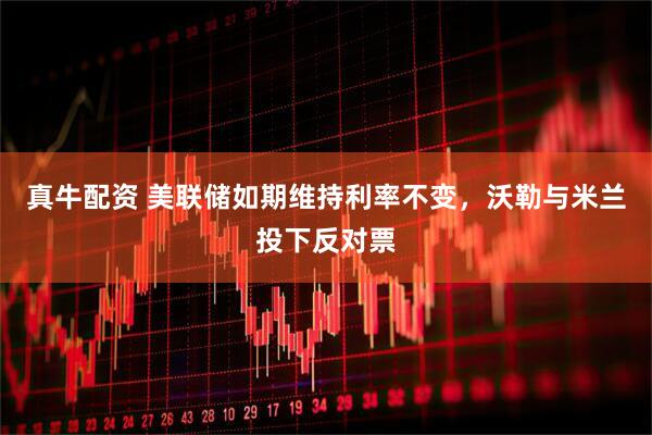 真牛配资 美联储如期维持利率不变，沃勒与米兰投下反对票